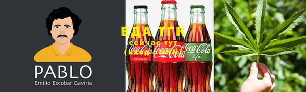 прущие грибы Абинск
